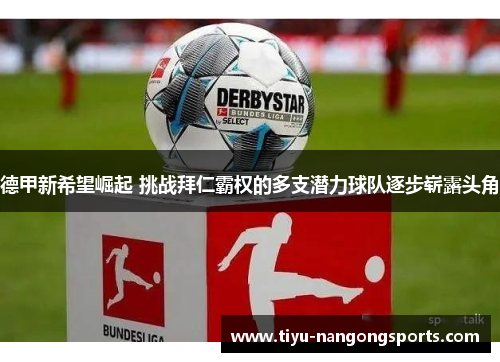 德甲新希望崛起 挑战拜仁霸权的多支潜力球队逐步崭露头角